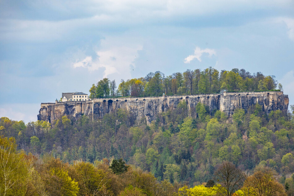 Sprießende Festungsgeschichte: Königstein zeigt seine grüne Seite!