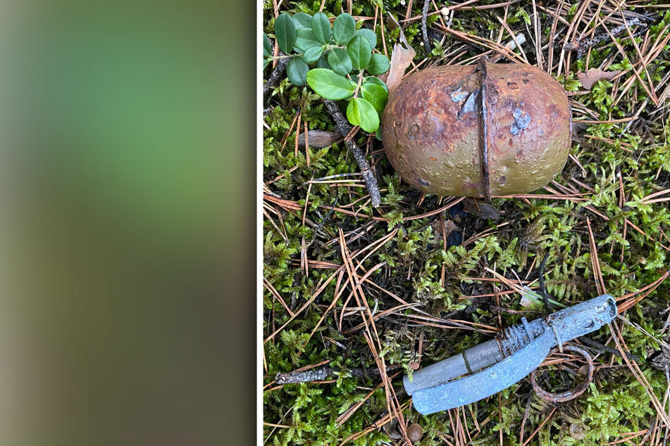 Ein Spaziergänger hat am Sonntag diese Handgranate in einem Wald nahe Trebendorf gefunden.
