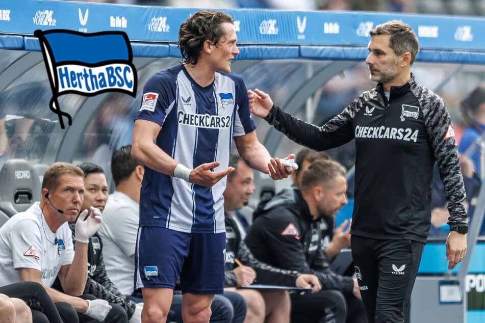 Hertha BSC: Was Leitl über den Reese-Wechsel sagt