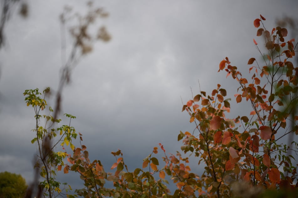 Herbstwetter in Köln und NRW: Jetzt wird es deutlich kühler