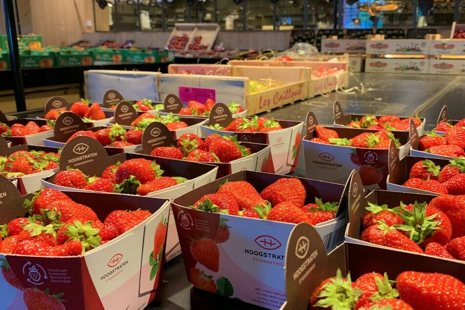 Strawberries linked to hepatitis A outbreak