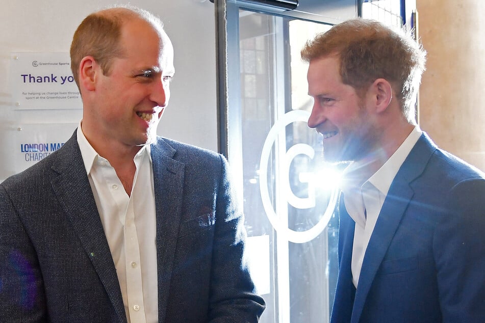 Prince William (l.) recently extended an "olive branch" to his brother Harry by mentioning him in a new documentary.