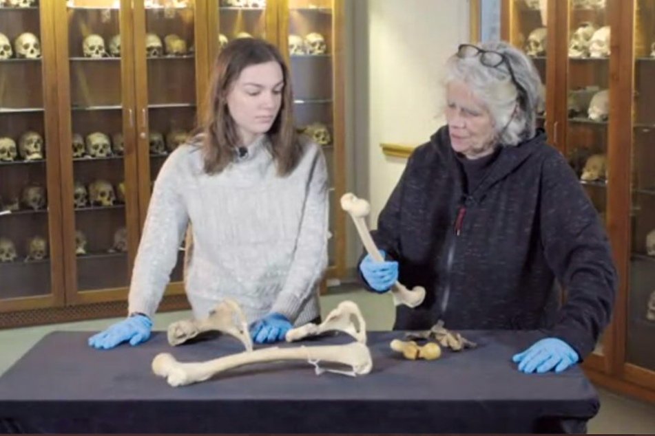 University of Pennsylvania Professor Janet Monge used the MOVE victims' remains in her course Real Bones: Adventures in Forensic Anthropology.
