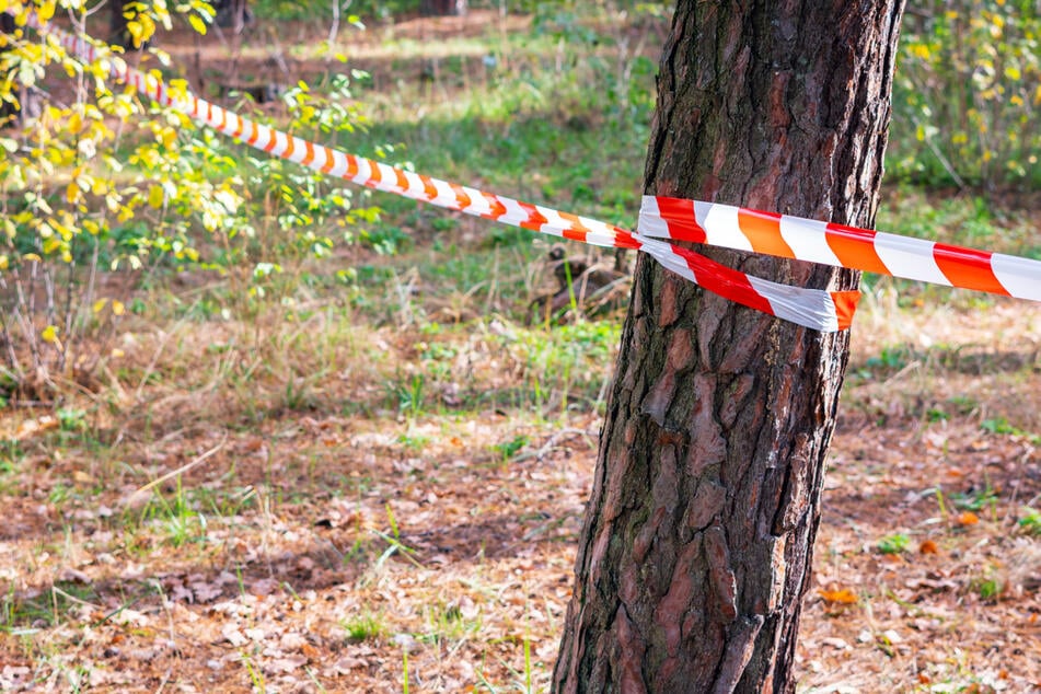 Ein Wald-Spaziergänger verständigte die Polizei. (Symbolbild)