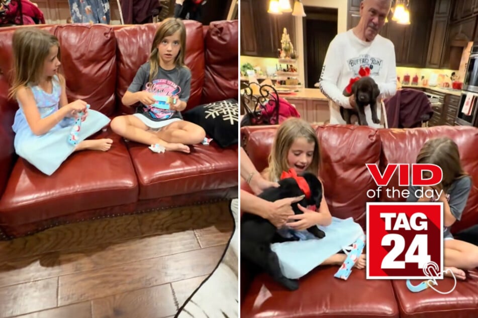 viral videos: Viral Video of the Day for December 22, 2025: Perfect Christmas surprise leaves TikTok in tears