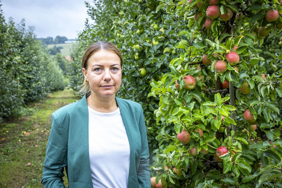 Verbands-Chefin Carmen Stefanie Kaps (41) kennt die Probleme der Obstbauern.