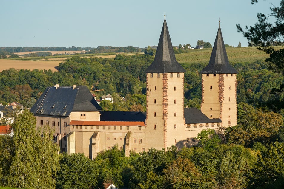 Porträt von Luther-Gegner: Sächsisches Schloss erhält wertvolles Gemälde