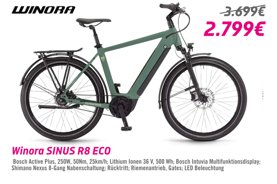Winora SINUS R8 Eco