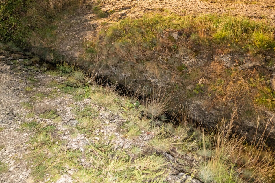 Felsspalten sind auf dem Staffelberg in der Dunkelheit kaum zu erkennen, stellen allerdings eine erhebliche Gefahr dar.