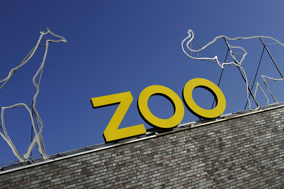 Der Kölner Zoo und seine Bewohner erwachen zum Leben. An vielen Sonntagen im Frühling sind Attraktionen geplant. (Archivbild)
