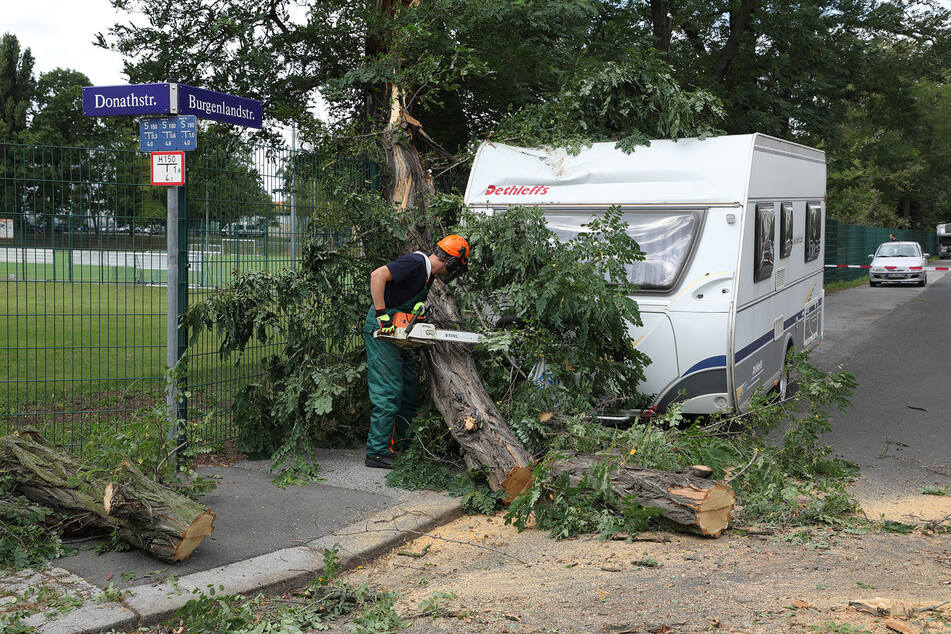 "Kirsten" sorgte für umgestürzte Bäume und herabfallende Äste.