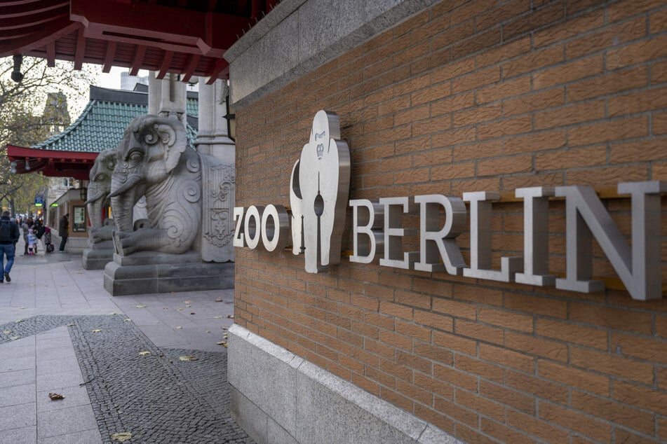 Für den Zoo-Besuch gelten ab Freitag bestimmte Vorsichtsmaßnahmen. (Archivbild)