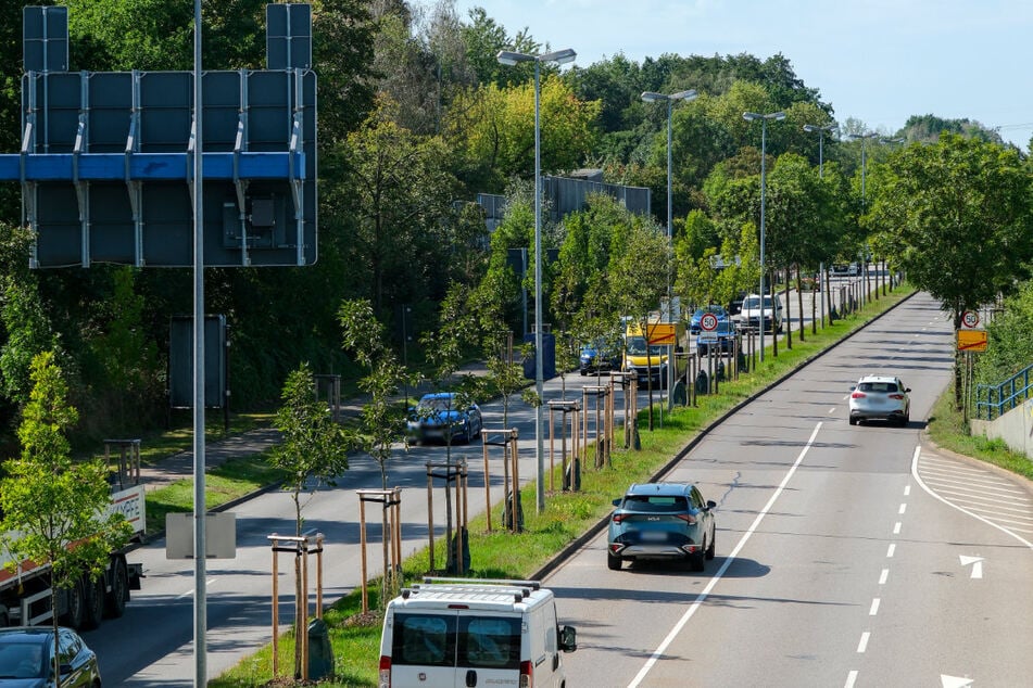 Auch auf der Neefestraße wurden 2024 neue Straßenbäume gepflanzt.