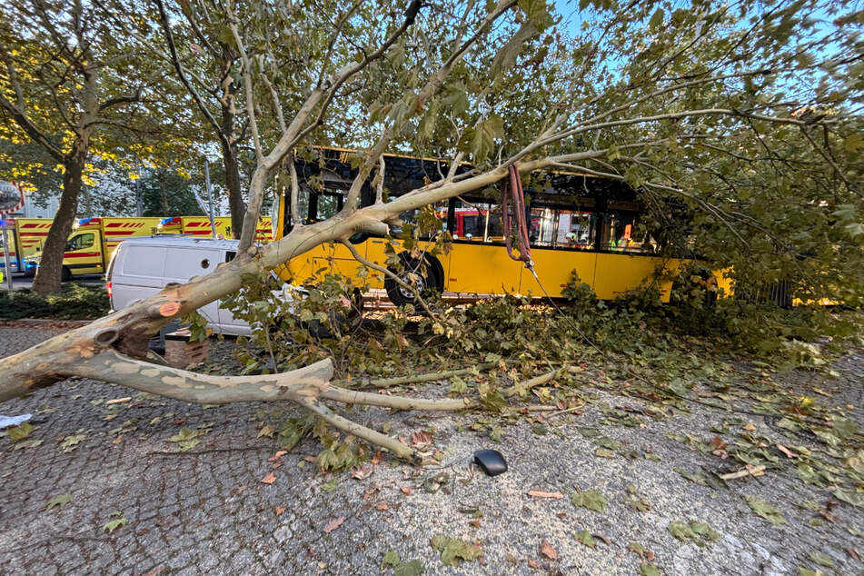 Der Bus kollidierte auch mit einem Baum. Es entstand ein Sachschaden in fünfstelliger Hohe.