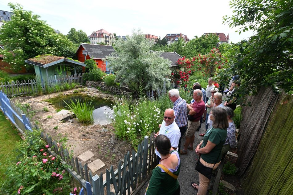 Zur Preisverleihung in der Gartenanlage von Gastgeber "Flora I" kamen am Samstag zahlreiche Besucher.