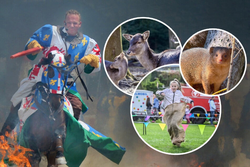 Neun Ausflugsziele für einen aufregenden Ostersonntag