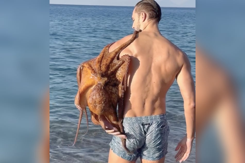 The octopus nestled lovingly against the Italian male model.