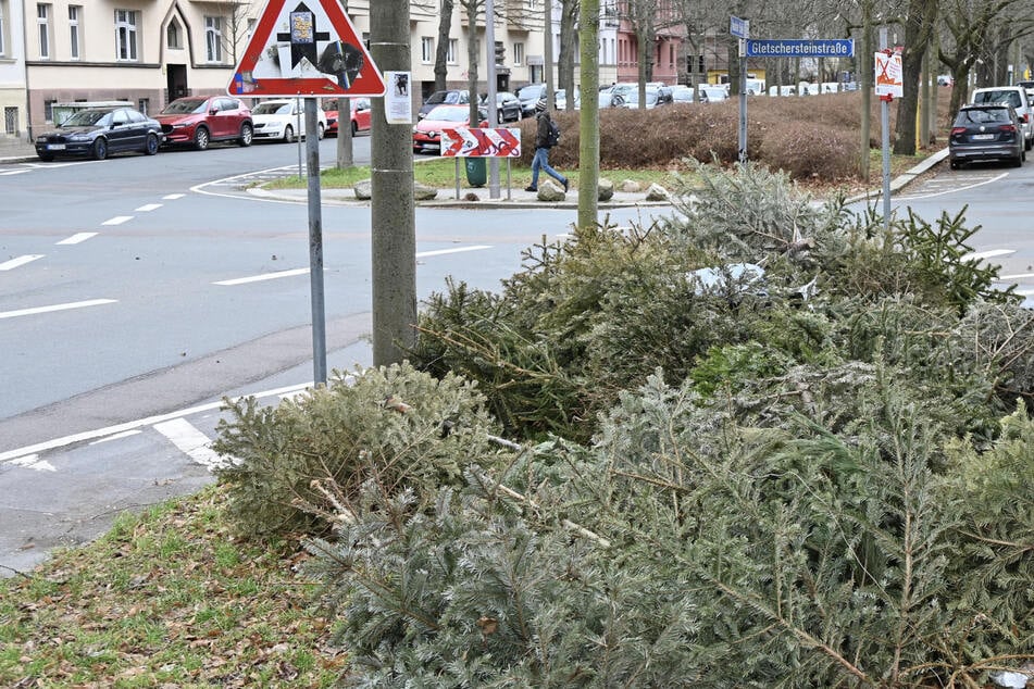 An 170 verschiedenen Orten in Leipzig können Weihnachtsbäume zur Entsorgung abgelegt werden. Dieser ist keiner davon.