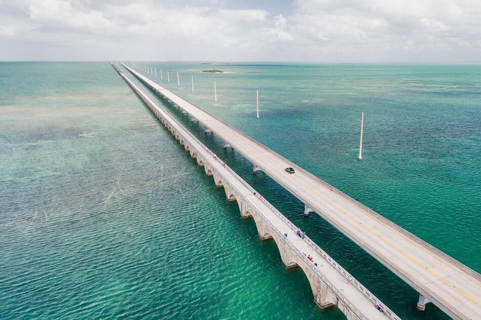 Irgendwie hat es die Panzerechse auf den Oversees-Highway geschafft, der die Inseln der Florida Keys verbindet.