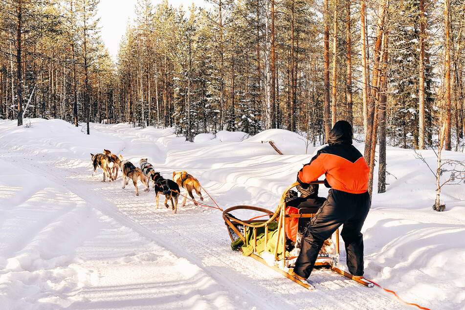Die Alternativen für Wintersportreisen: Finnland oder Lappland.