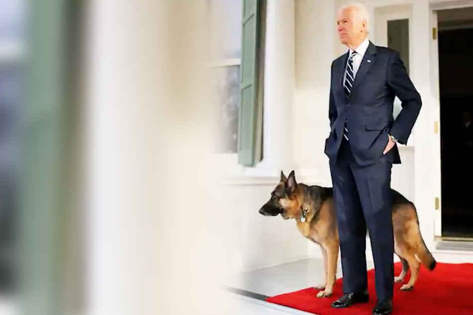 Joe Biden injures himself while playing with one of his dogs