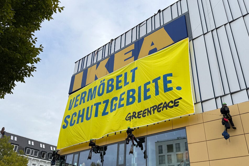 Aktivisten von Greenpeace haben sich am Dienstag von einem Ikea-Dach in Hamburg-Altona abgeseilt und gegen eine mögliche Abholzung von Schutzgebieten protestiert.