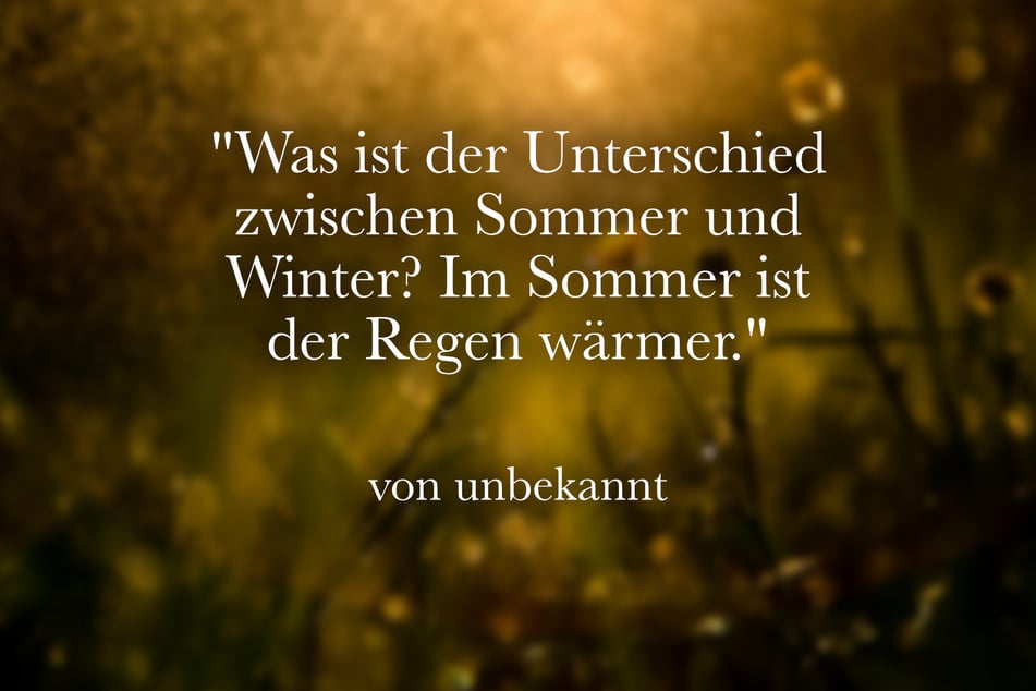 Was ist der Unterschied zwischen Sommer und Winter? Im Sommer ist der Regen wärmer.