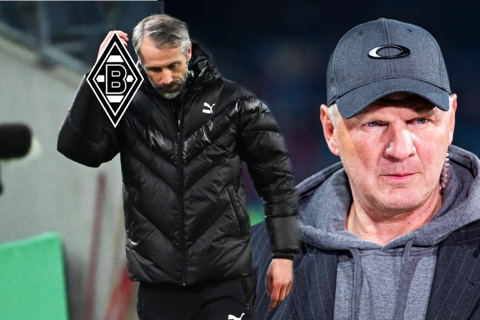 Effenberg hinterfragt Gladbach und Coach Rose: War es ein Fehler, ihn zu holen?