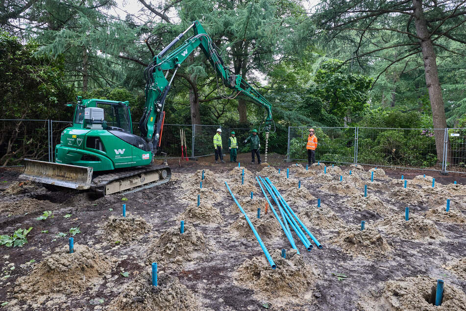 Hamburg: Planten un Blomen geschlossen: Das ist der Grund