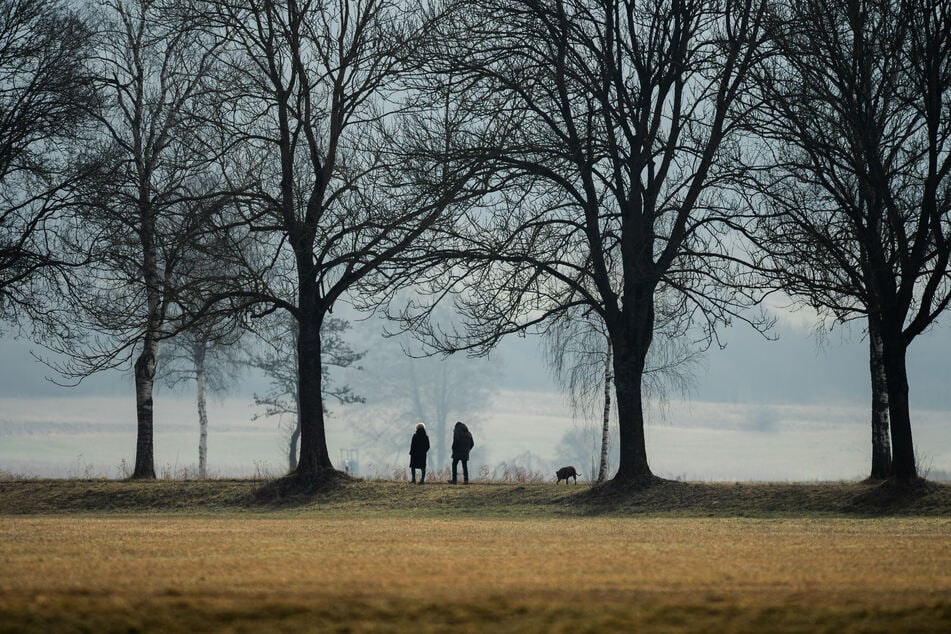 Am Wochenende ist in Sachsen mit milden Temperaturen, aber viel Nebel und dichten Wolken zu rechnen.