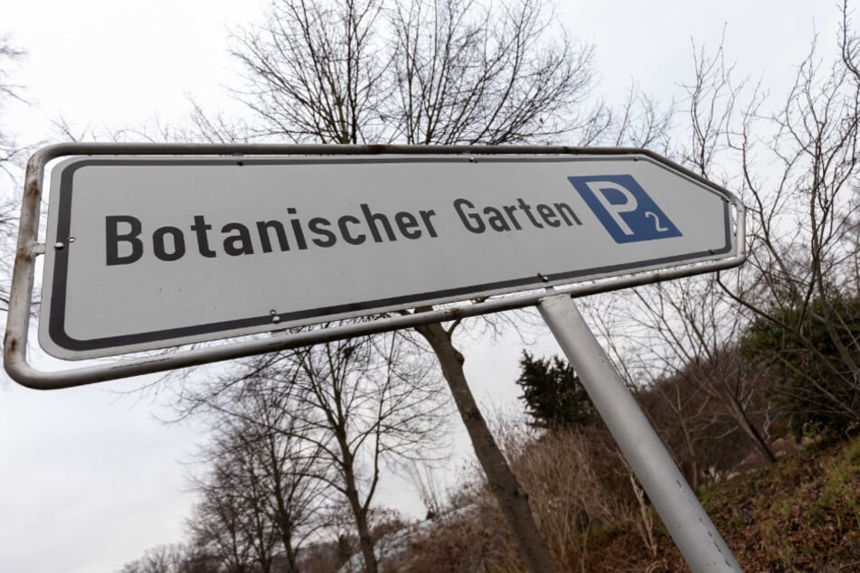 Bastelzeit im Botanischen Garten.