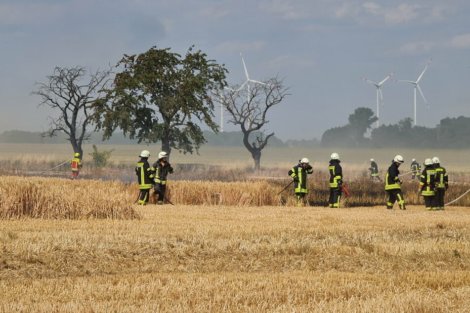 Dutzende Feuerwehrleute waren im Einsatz.