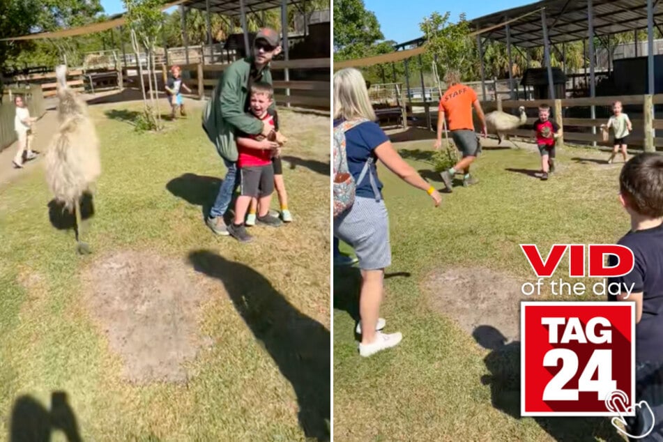 Today's Viral Video of the Day features a group of students who were having fun on a field trip, until a fast ostrich came running their way!