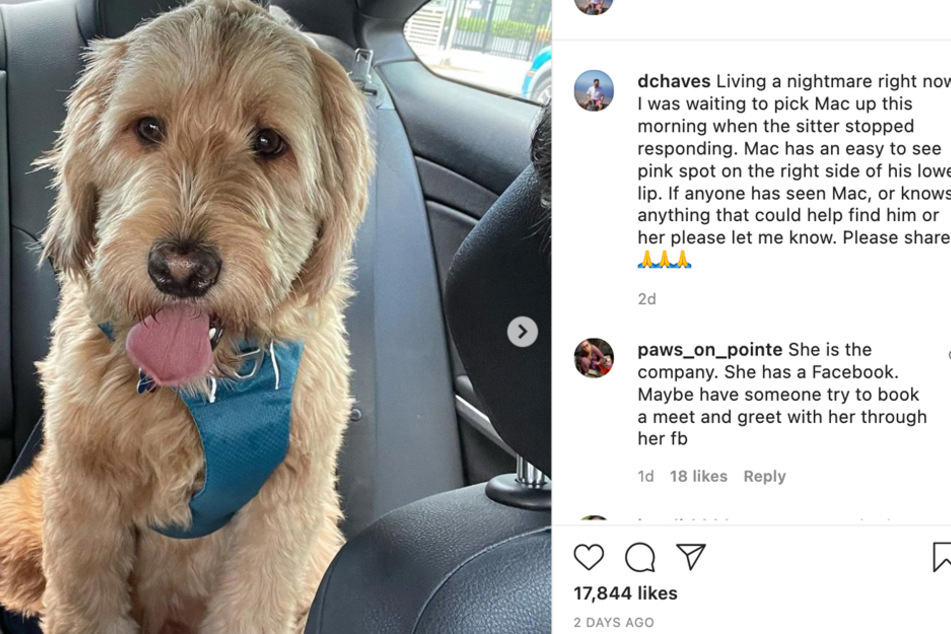 Diego Chaves shared posts on social media to aid him in the hunt for his missing dog Mac.