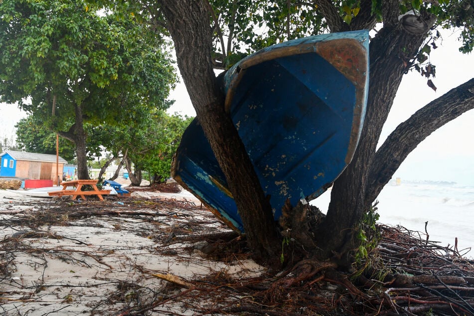 Der Hurrikan war so stark, dass ein Boot in einem Baum landete.