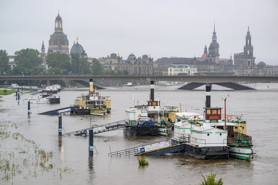 Ein Hochwasser ohne Katastrophe gab es in Dresden zuletzt im September 2024 (im Hintergrund die eingestürzte Carolabrücke).