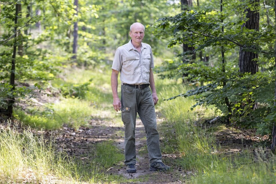 Forstdirektor Heiko Müller (59) vom Sachsenforst will Eingriffe ins Landschaftsschutzgebiet so gering wie möglich halten.