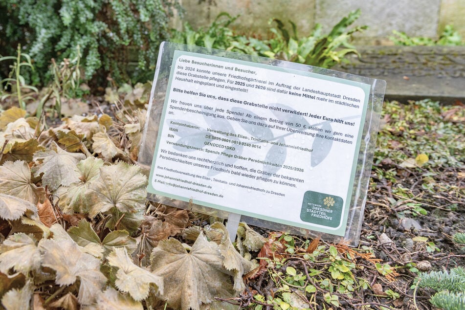 Schon jetzt fehlt der Stadt Dresden Geld, um die Grabpflege aller Ehrengräber zu bezahlen. Die Streichung mancher Grabwidmung käme gerade recht.