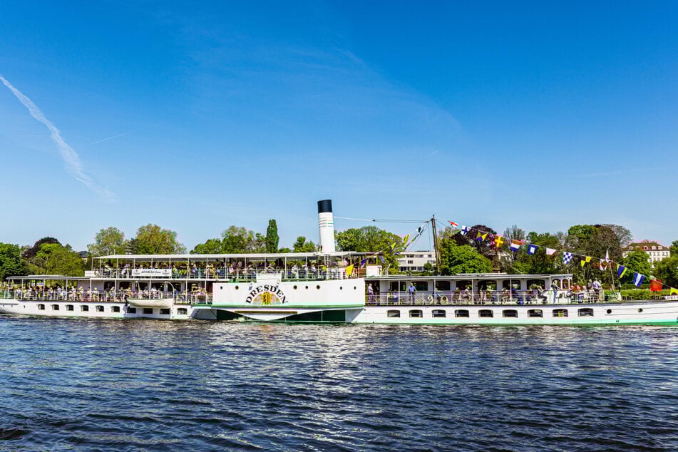 Dresden: Seltenes Aufeinandertreffen auf der Elbe