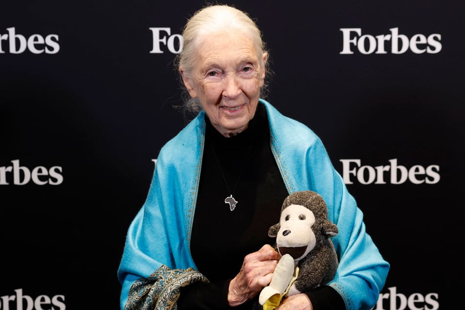 Jane Goodall was a dedicated activist, relentlessly advocating for wildlife well into her 90s.