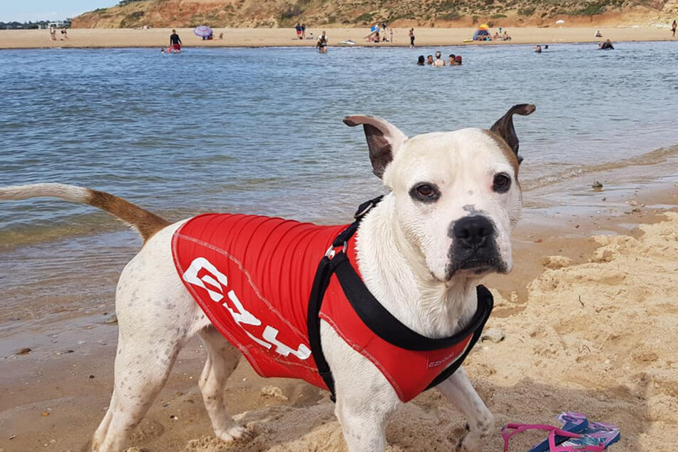 There's nothing little Max loves more than splashing around in the water!