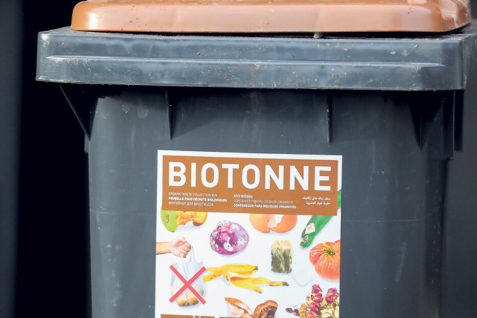 Wer in Biotonnen zum Beispiel Plaste einwirft und erwischt wird, zahlt eine saftige Strafgebühr.