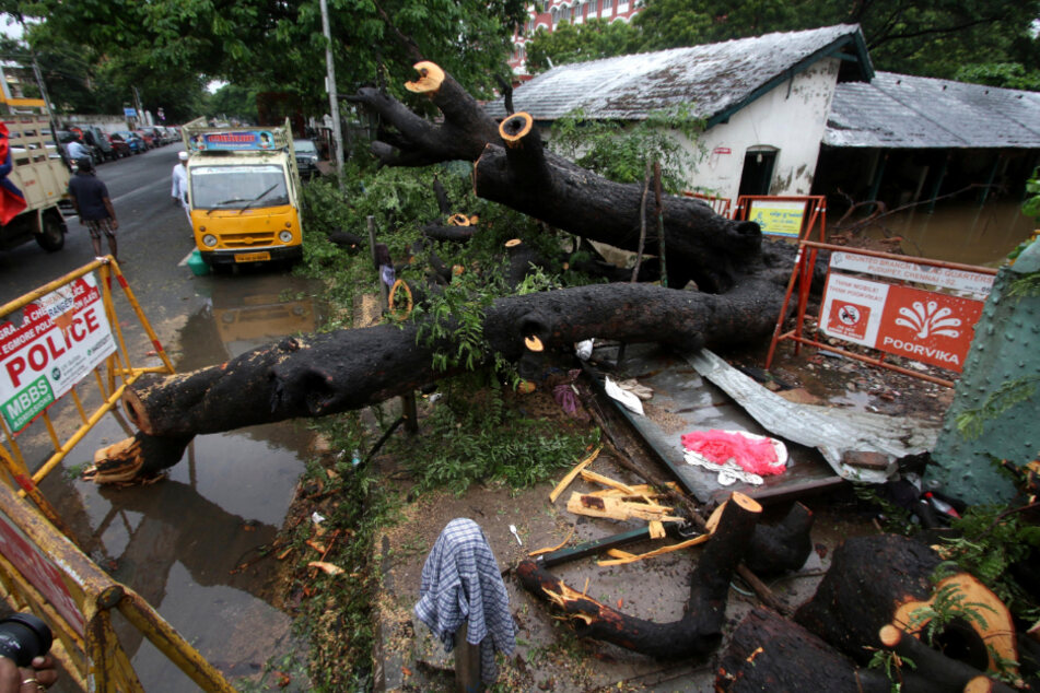 Chennai: Ein Baum, der durch das Unwetter zu Fall gebracht worden ist, liegt auf einer zerstörten Mauer.