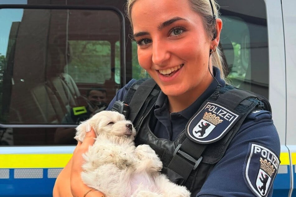 Die Einsatzkräfte brachten den Vierbeiner in eine Tierklinik.