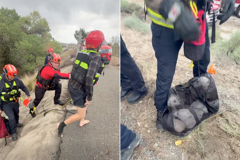 Bei der Rettung trugen die Frauen Schwimmwesten, während die Hunde in einem Netz auf ihre Befreiung warteten.