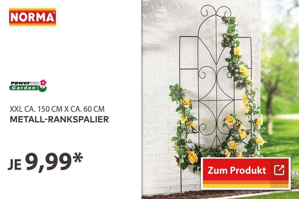Metall-Rankspalier für 9,99 Euro