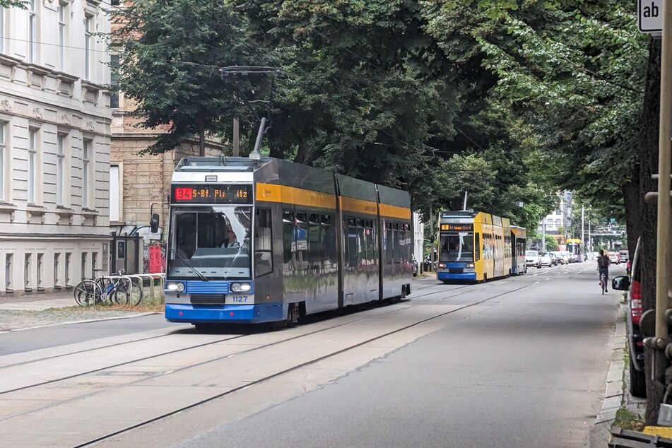 Straßenbahn an Straßenbahn: Über die durch die Zeppelinbrücken-Sperrung von den Trams 1, 3, 7, 8, 15 und 34 genutzte Käthe-Kollwitz-Straße wollten auch viele Autos fahren.