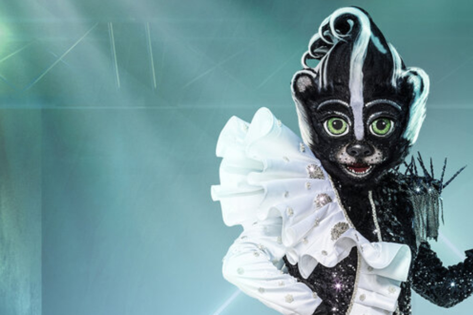 The Masked Singer: "The Masked Singer" präsentiert das Stinktier: Alle bekannten Kostüme im Überblick