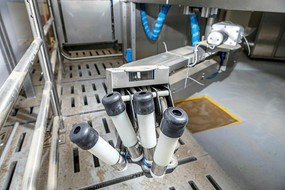 17 vollautomatisierte Roboter können am Melkstand zum Einsatz kommen.