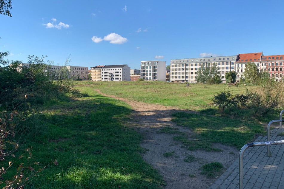 Der Leipziger Ökolöwe fordert, die Fläche dauerhaft als grüne Oase zu sichern und einen Stadtteilpark auf ihr zu errichten.